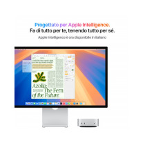 Mac mini - Chip Apple M4 Pro con CPU 14-core, GPU 20-core, Neural Engine 16-core - RAM 24GB di memoria unificata - HD SSD 4TB - 