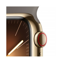 Apple Watch Series 9 GPS + Cellular 41mm Cassa in acciaio inossidabile gold - Cinturino sport grigio creta - M/L