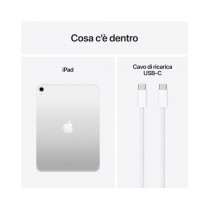11-inch iPad Wi-Fi + Cellular 256GB (A16) - Argento
