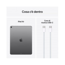 13-inch iPad Air Wi-Fi + Cellular 128GB (M3) - Grigio Siderale