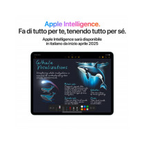 13-inch iPad Air Wi-Fi + Cellular 1TB (M3) - Galassia