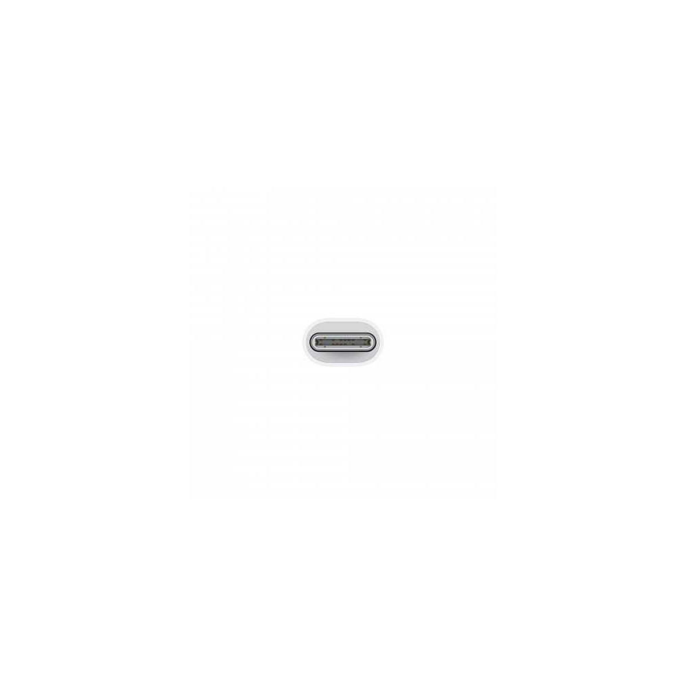 USB-C to Lightning Adapter