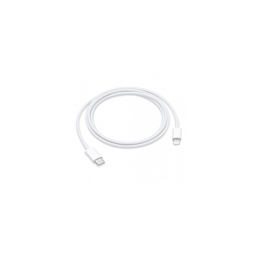 Cavo Apple da USB-C a Lightning (1m)
