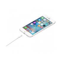 Cavo Lightning Apple USB (1M)