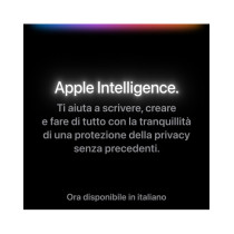 11-inch iPad Pro WiFi + Cellular 1TB (M4) con Vetro nanotexture - Argento