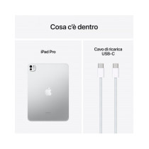 11-inch iPad Pro WiFi + Cellular 1TB (M4) con Vetro Standard - Argento