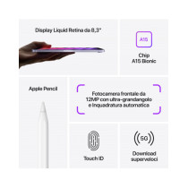 2021 - iPad mini Wi-Fi + Cellular 64GB - Viola