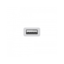 Adattatore USB-C - USB