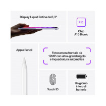 2021 - iPad mini Wi-Fi 256GB - Viola