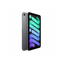 iPad mini Wi-Fi + Cellular 512GB - Grigio Siderale